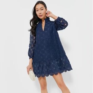 Tuckernuck Navy Organza Dress Medium